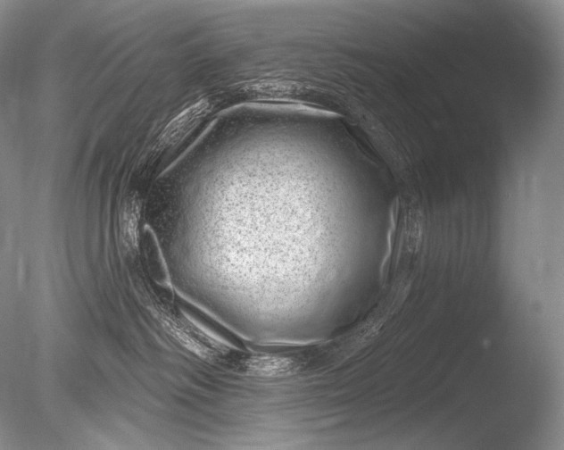 X0000085800334200703301505