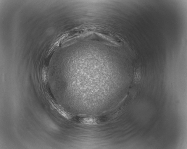 X0000085800335200703301505