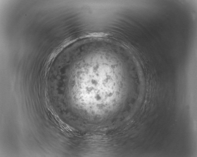 X0000085800337200703301504