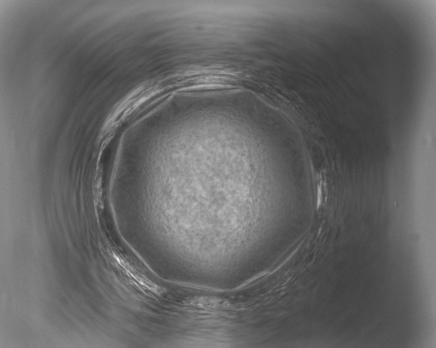 X0000085800339200703301504