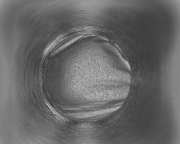 X0000085800341200703301504