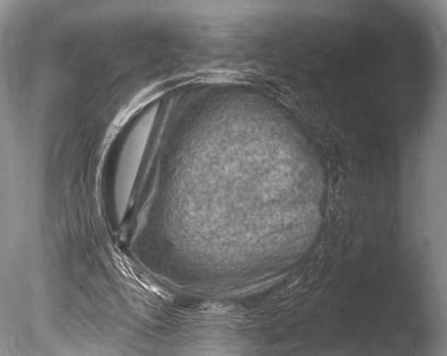 X0000085800343200703301504