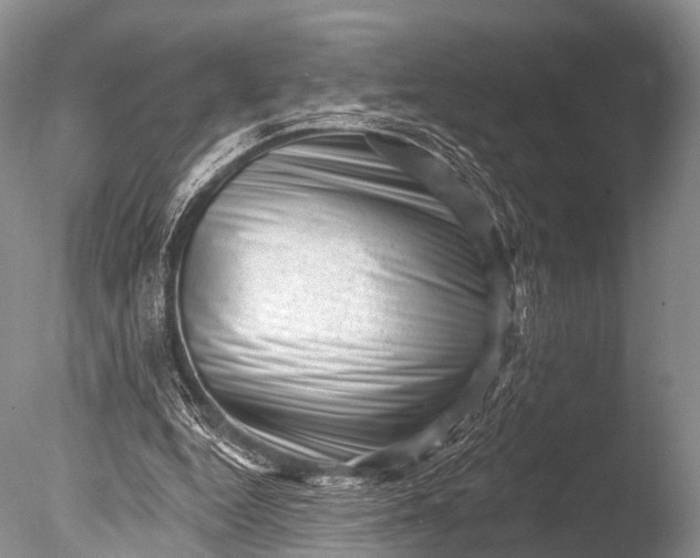 X0000085800344200703301504