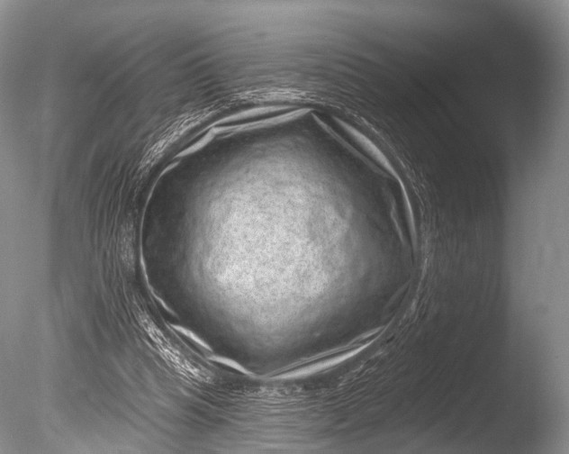 X0000085800345200703301504