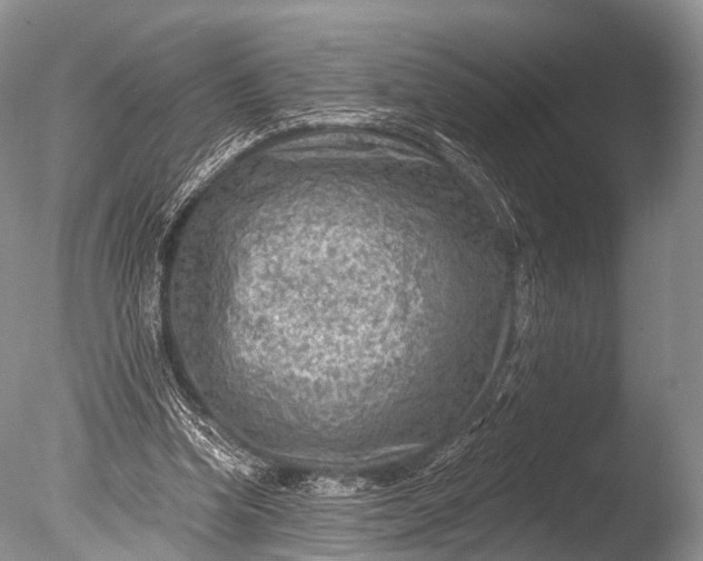 X0000085800346200703301504