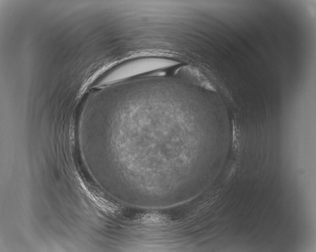 X0000085800348200703301504