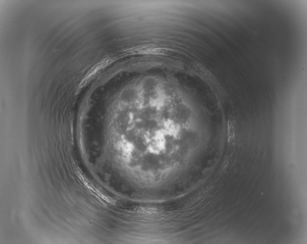 X0000085800349200703301504