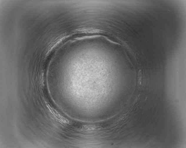 X0000085800351200703301504