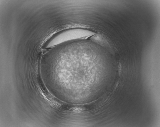 X0000085800352200703301504