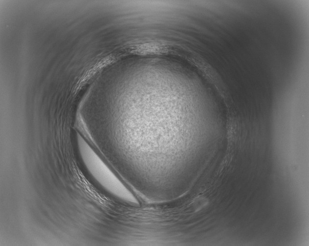 X0000085800353200703301504