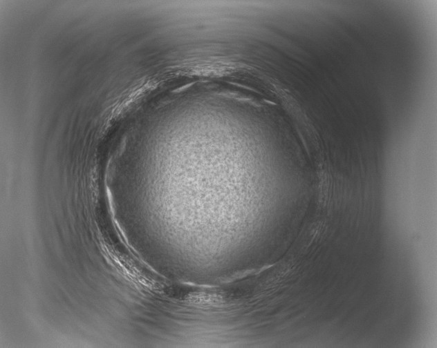 X0000085800354200703301504