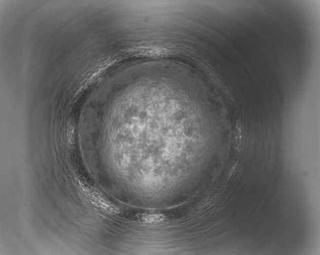 X0000085800355200703301504