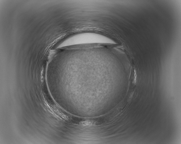 X0000085800356200703301504