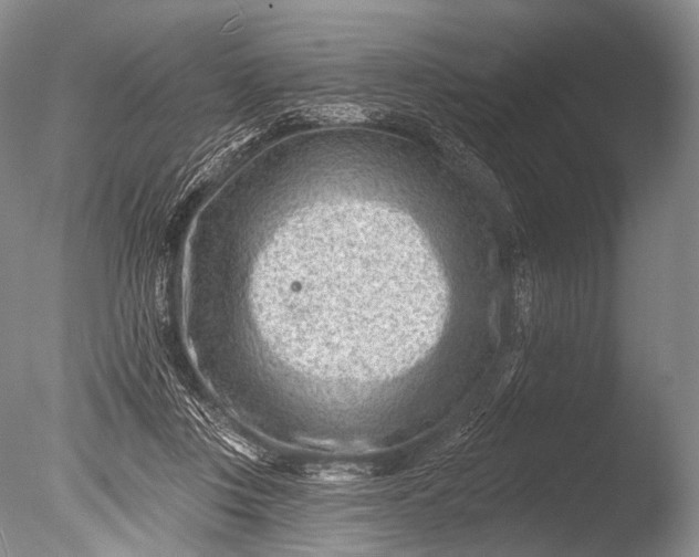 X0000085800359200703301504