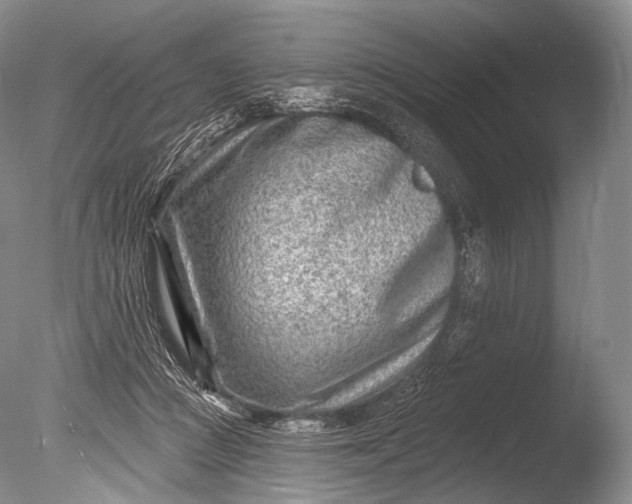 X0000085800361200703301504