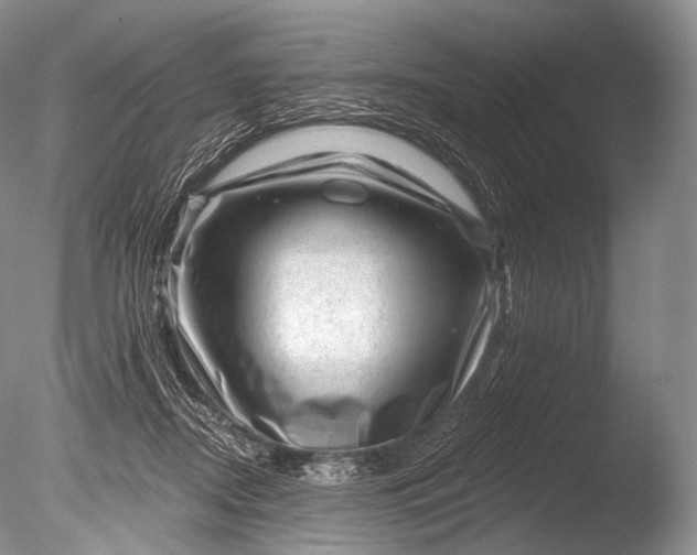 X0000085800362200703301504