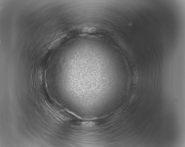 X0000085800363200703301504