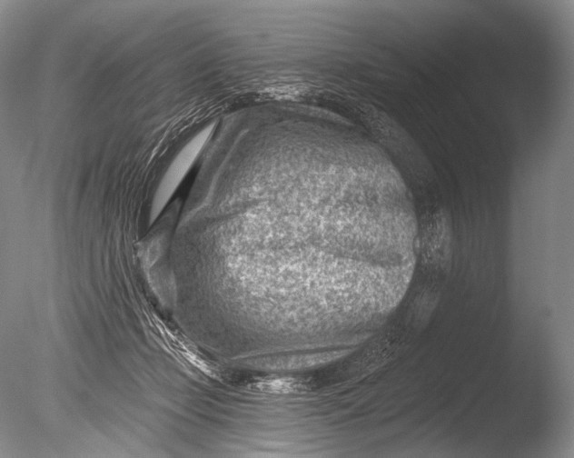 X0000085800365200703301504