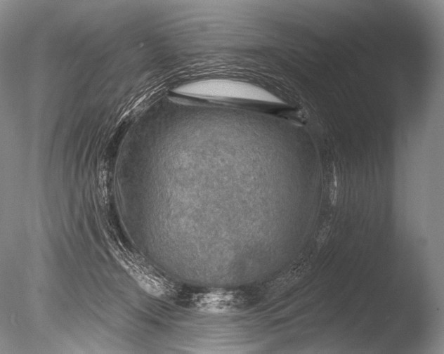 X0000085800366200703301504