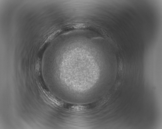 X0000085800367200703301504