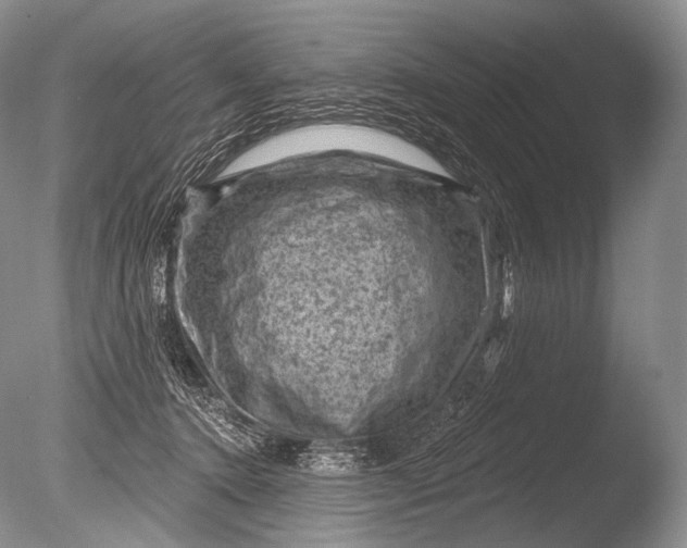 X0000085800368200703301504