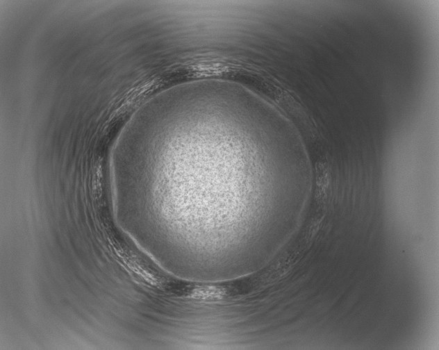 X0000085800369200703301504