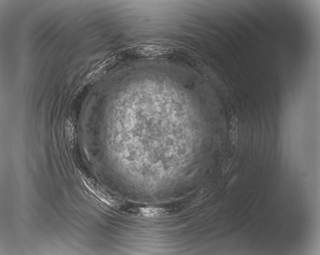 X0000085800371200703301504