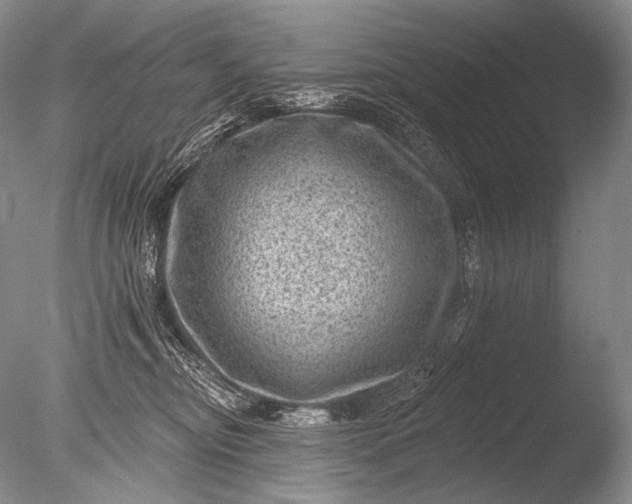 X0000085800374200703301504