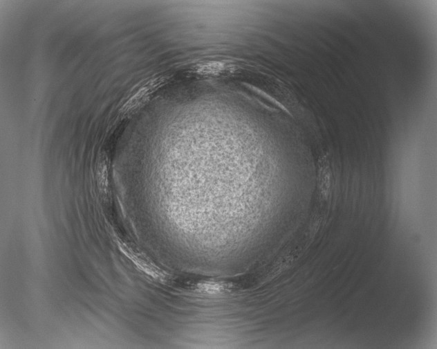 X0000085800375200703301504