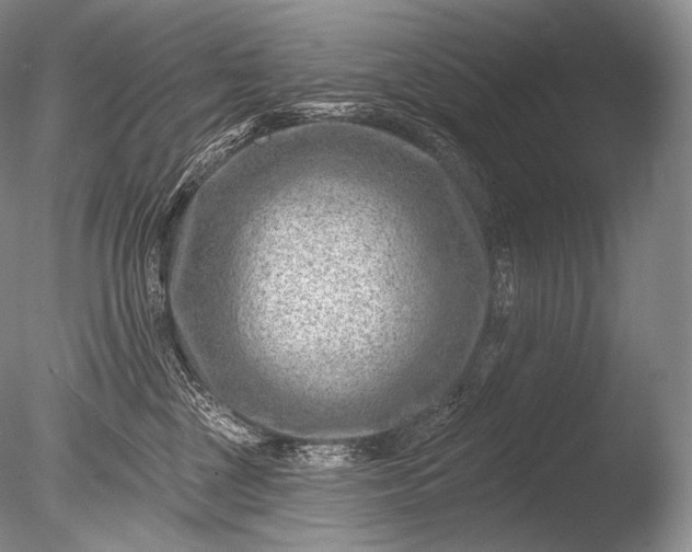 X0000085800377200703301505