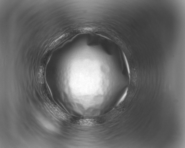 X0000085800378200703301505