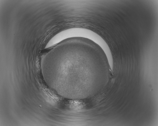 X0000085800380200703301505