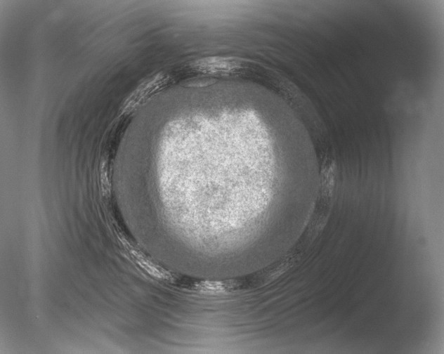 X0000085800381200703301505