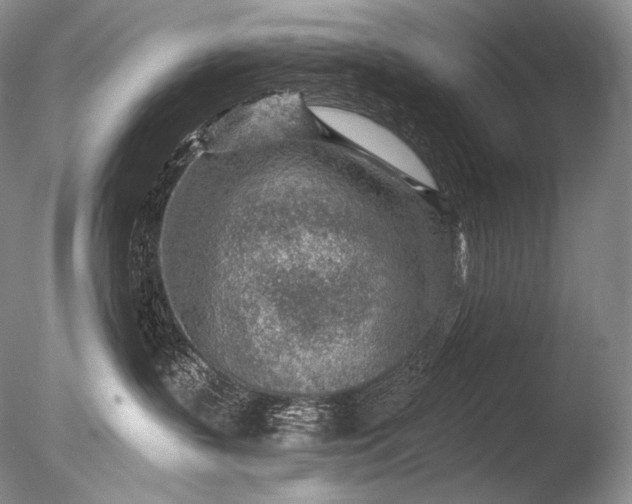 X0000085800383200703301505