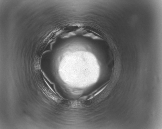 X0000085800384200703301505