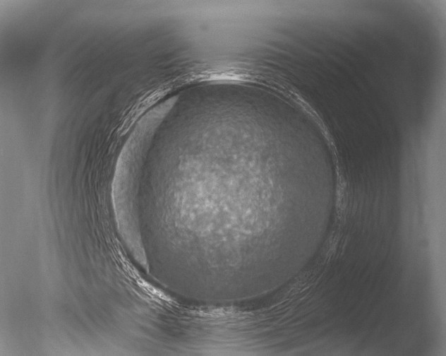 X0000085800385200703301504