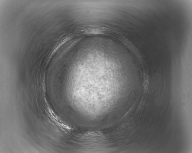 X0000085800386200703301504