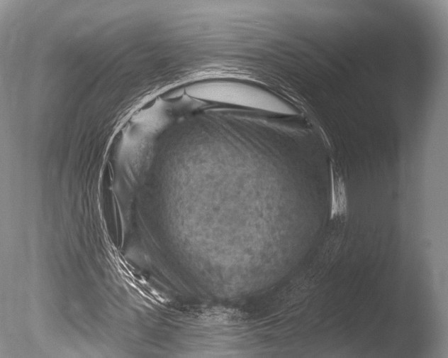 X0000085800387200703301504