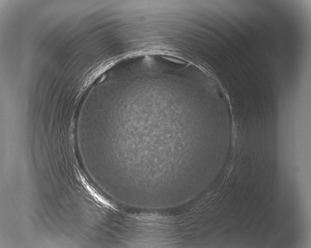 X0000085800389200703301504