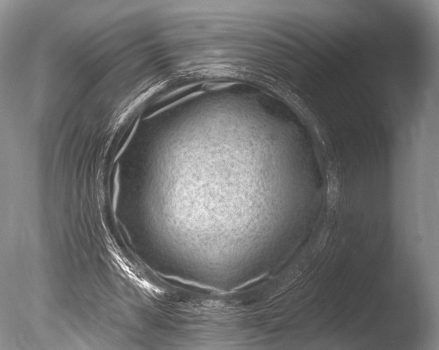 X0000085800390200703301504