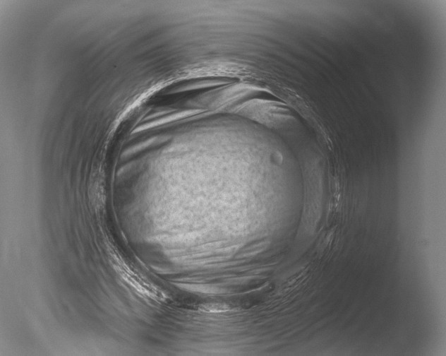 X0000085800392200703301504