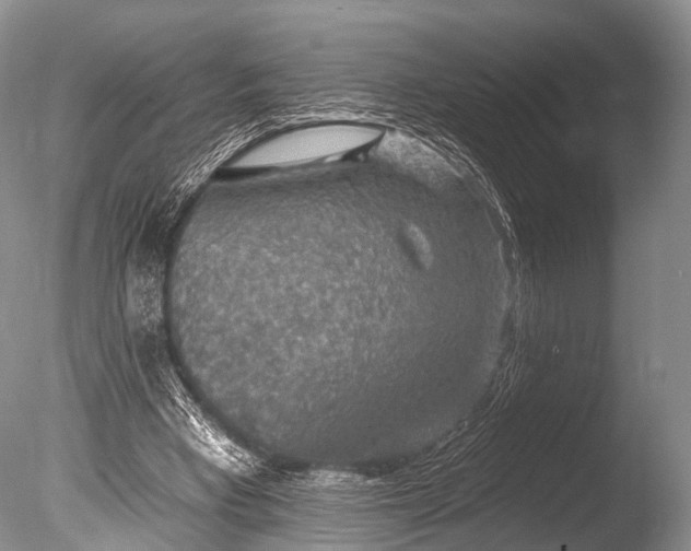 X0000085800393200703301504