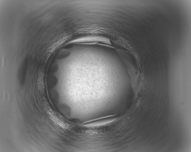 X0000085800394200703301504