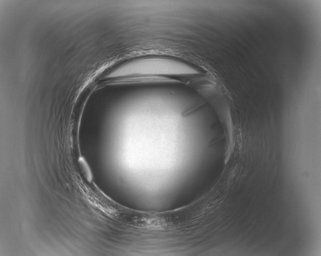 X0000085800395200703301504