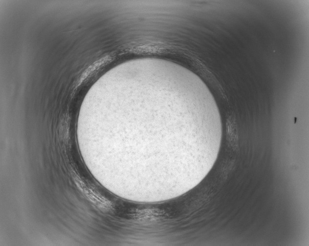 X0000085800396200703301504