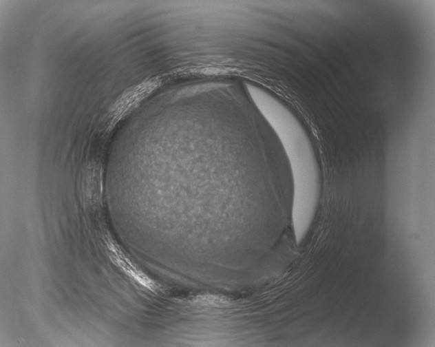 X0000085800397200703301504