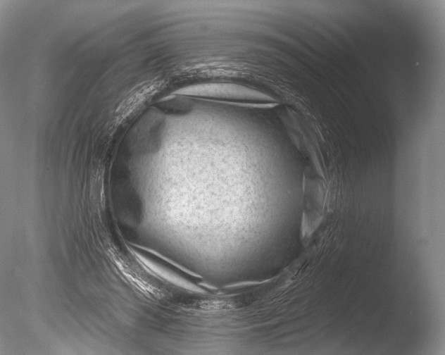 X0000085800398200703301504