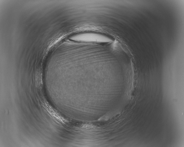 X0000085800399200703301504