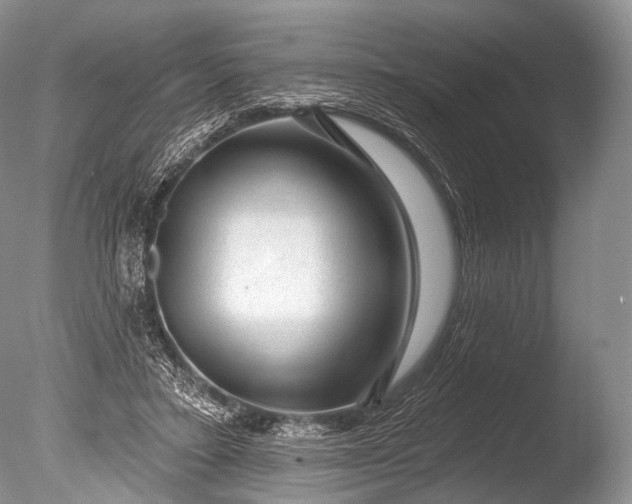 X0000085800403200703301503