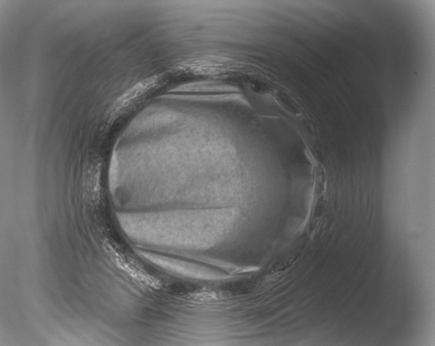 X0000085800404200703301503